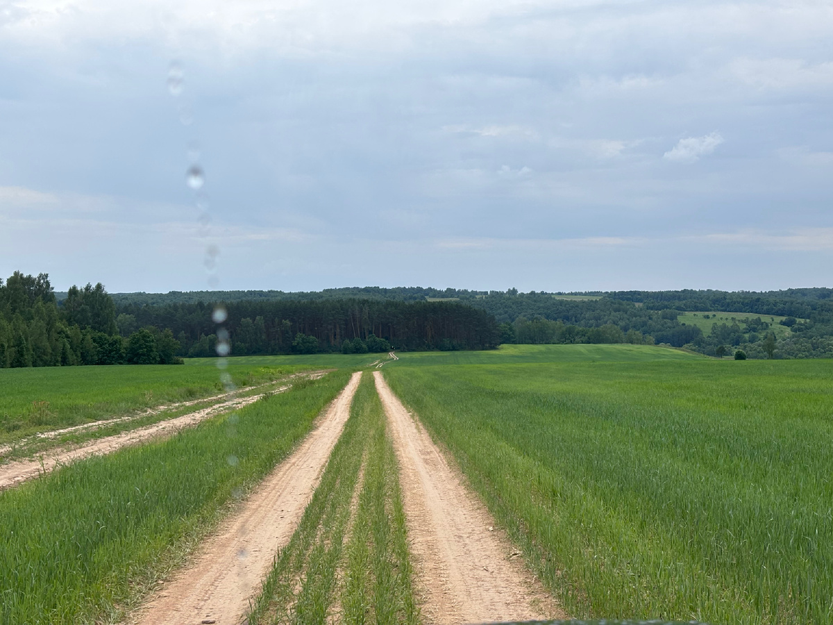 Обожаю бескрайние зеленые поля 😍