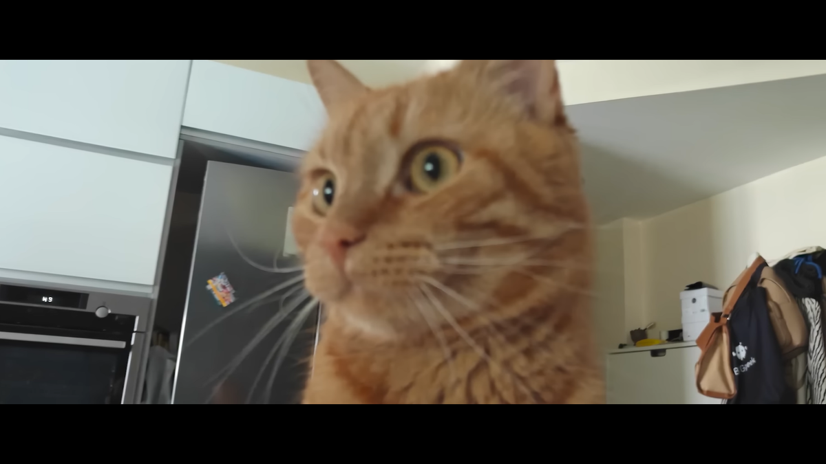     Павел Хмурчик