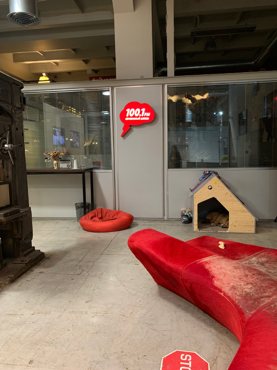 Будка и диван собаки, которая живет прямо на радиостанции