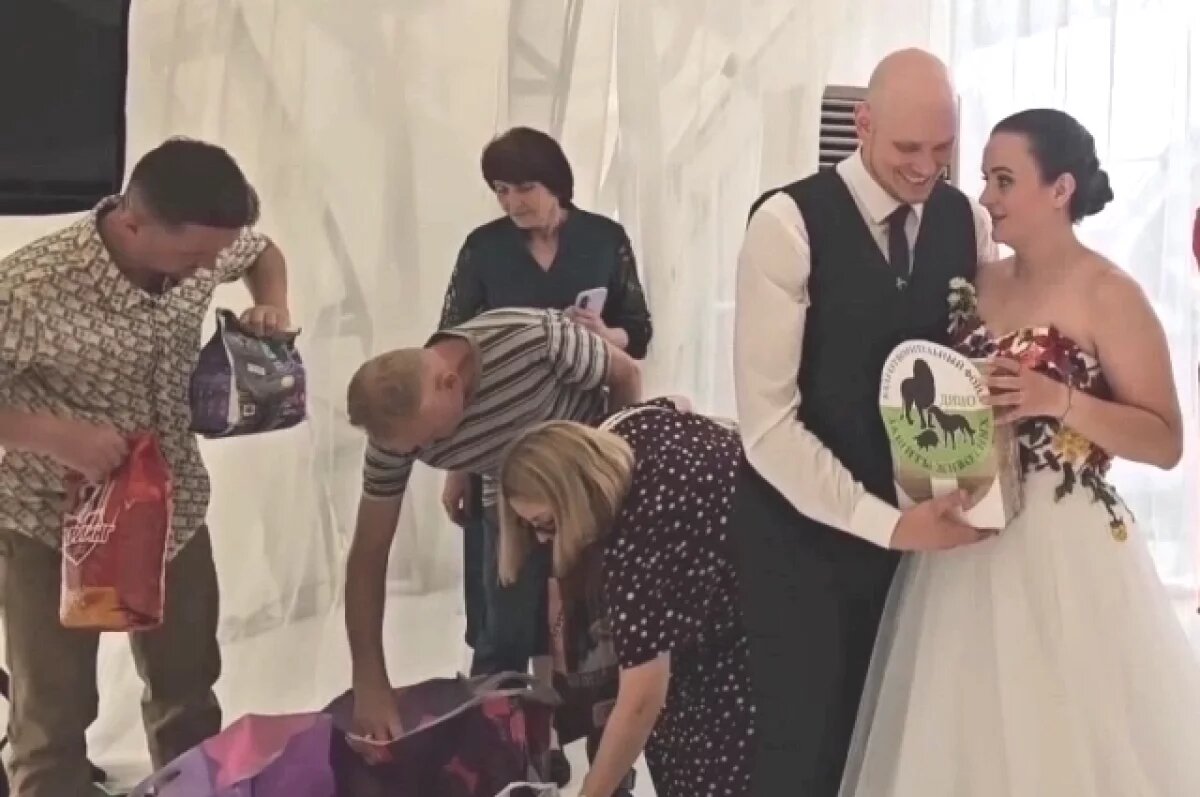    В Волгограде молодожены устроили свадьбу с собачьим кормом – видео