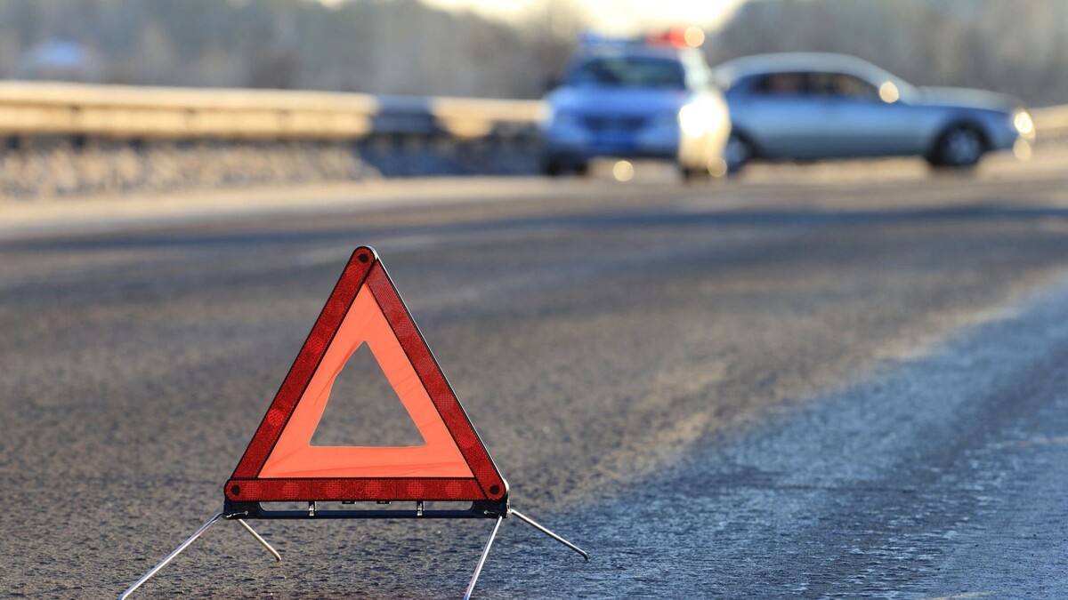    Фото: Matveychuk Anatoliy/Shutterstock/Fotodom