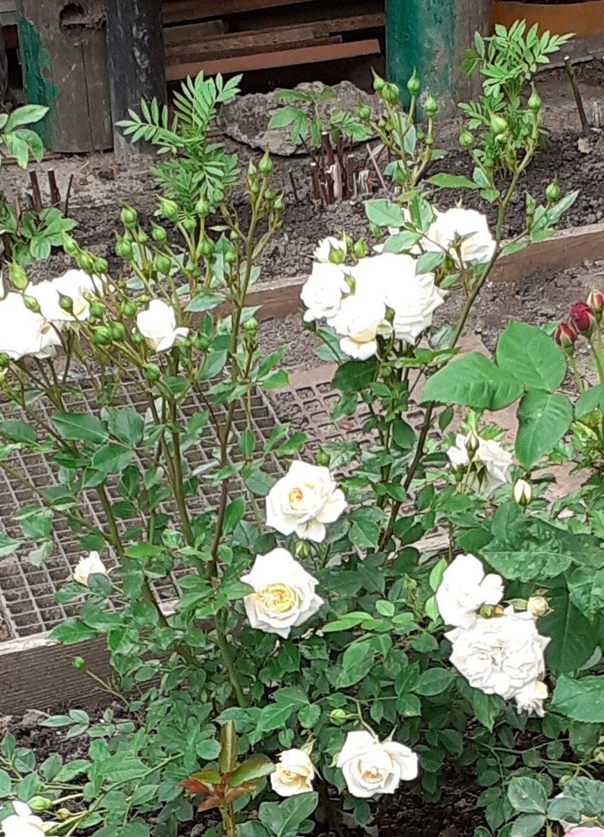 фото Вадима