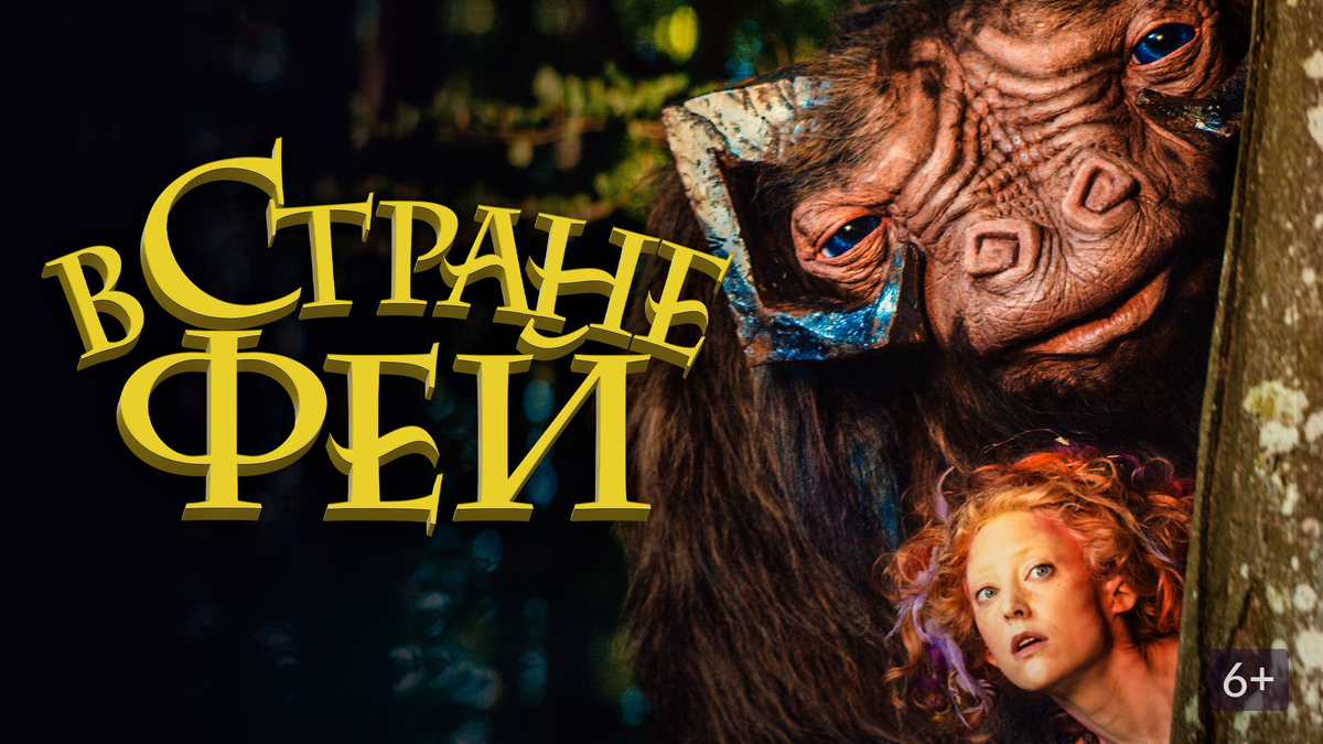 Фильм о девочке Эмили, которая нашла у себя дома сундук с таинственной книгой "В стране фей". Девочка попала в волшебный мир, где встречает множество необычных существ: Фею Найтинглар Белорок и Злую Королеву. Но на королевство свалилась опасность. Эмили решает во что бы то ни стало спасти новых друзей, отыскав волшебный кристалл, который по легенде спасет весь мир.