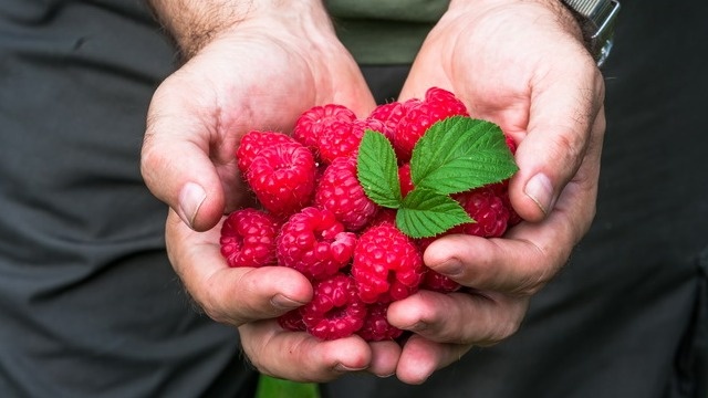 Результат после освоения правильной техники