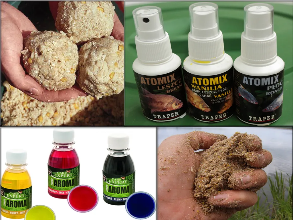 Фото с сайта: https://i1.wp.com/fishingday.org/wp-content/uploads/2016/06/7-4.jpg