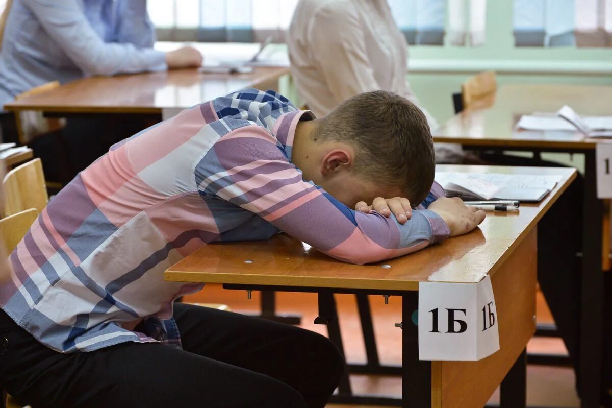 Источник https://avatars.mds.yandex.net/i?id=5b445d1cd9e314dd19258c02bbe0aedc_l-10375362-images-thumbs&n=13