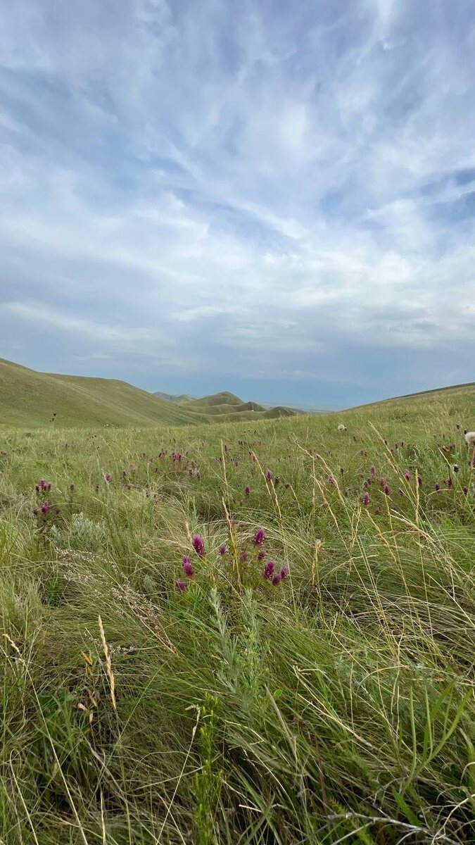  📷    Евгений Солнцев восхитился красотой Долгих гор Оренбуржья и пообещал побывать там лично Андрей Севостьянов
