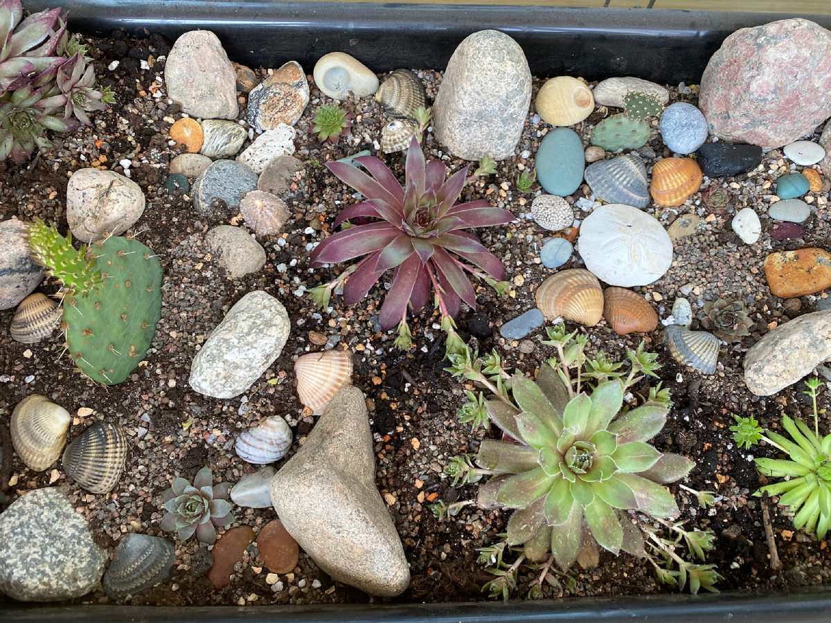 Вид сверху. Галька и раковины с Командорских островов нашли себе применение:)