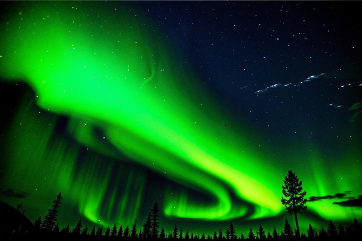    Фото: сгенерировано нейросетью Kandinsky