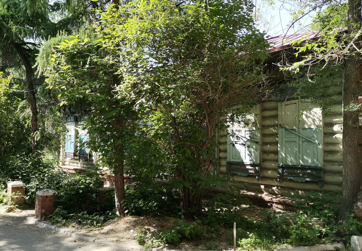 Фото 2025 год