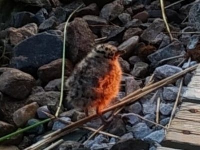    Фото: Светлана Прохорова