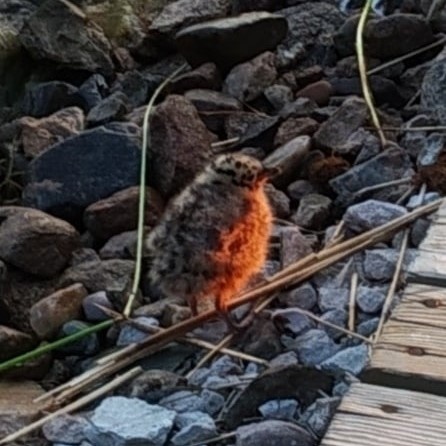    Фото: Светлана Прохорова