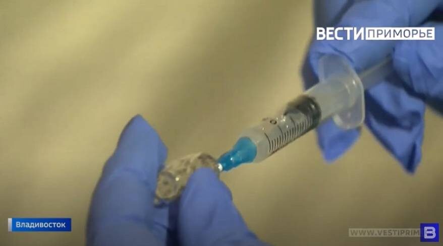    Источник фото: тематическое