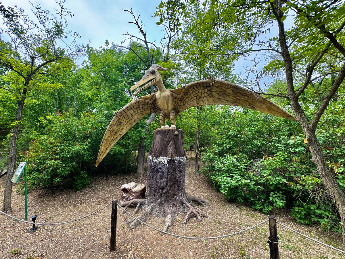 Птеранодон. Машет крыльями и кричит.