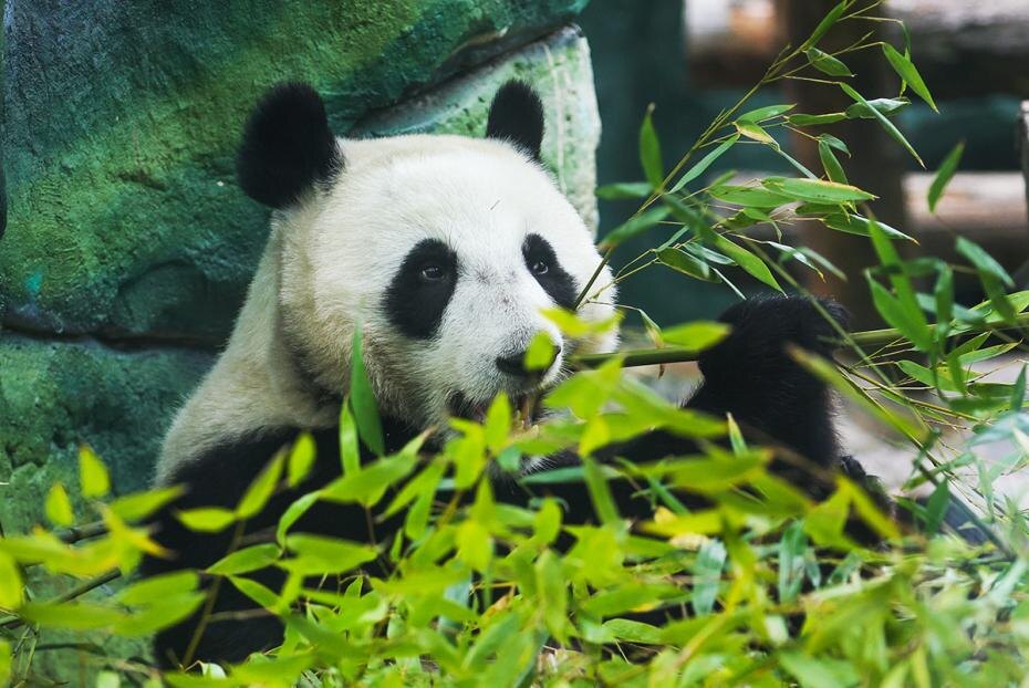    Наталья Шатохина/NEWS.ru