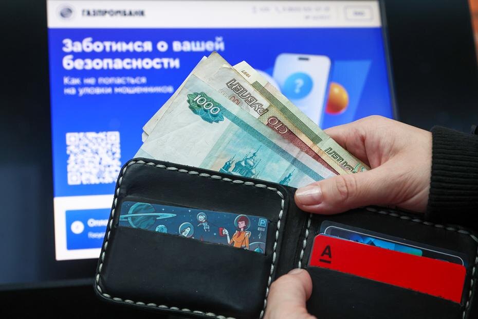    Наталья Шатохина/NEWS.ru