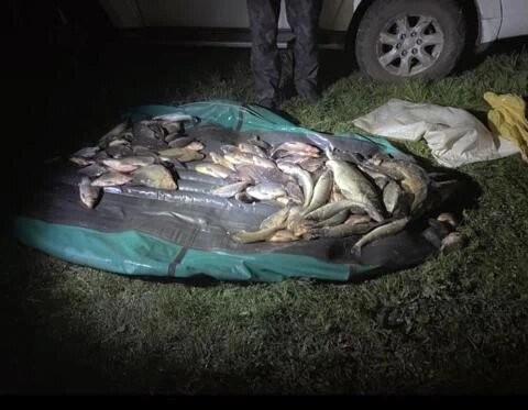 Фото: ГУ МВД России по Челябинской области