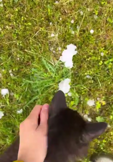 Град в Подмосковье https://t.me/kirzhachnews/8360