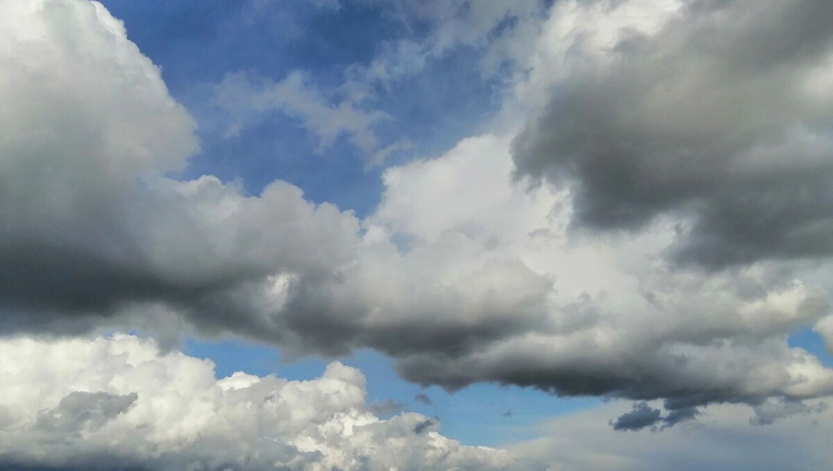     Источник: 1MI