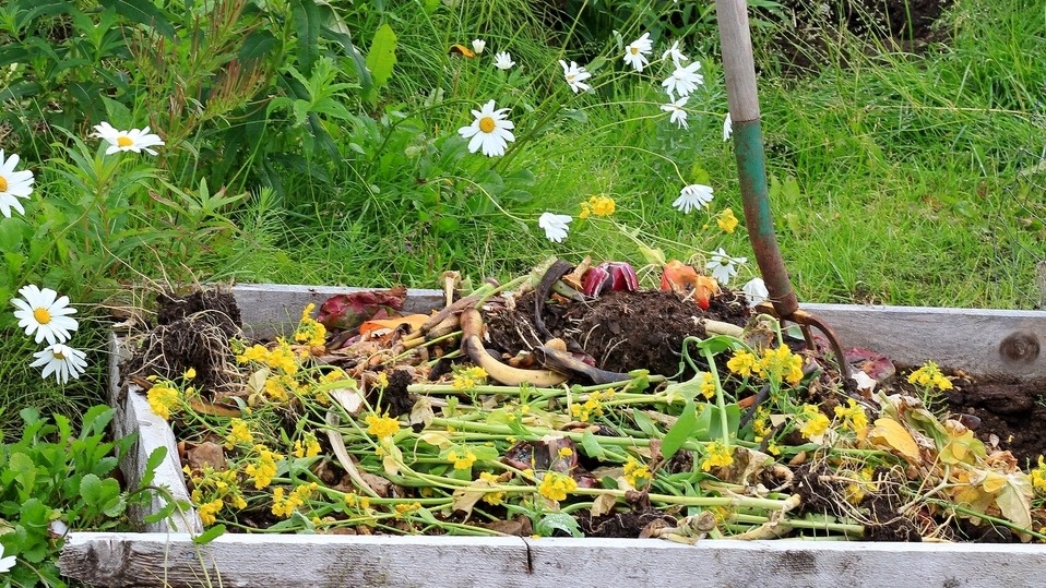 Современная реальность - готовый компост дороже мяса