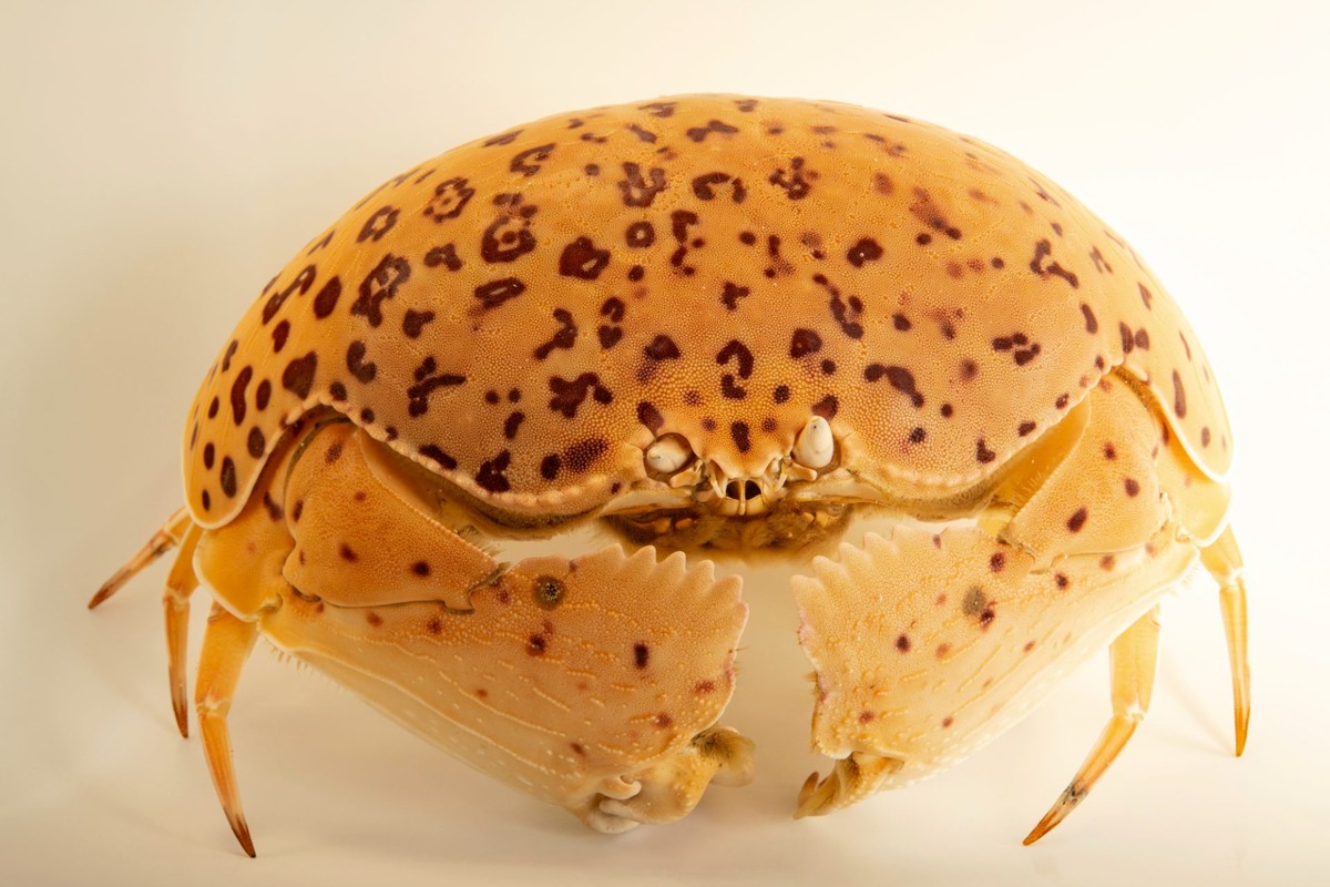 �� ����, ������, ���� �����: ������� � ������ �� � �������� ������� �����, � � ����� ����� �� �����. ������� ������ ��� ��� ������, ��� ������� ���� ��������.