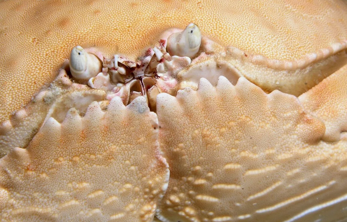 � ���������� ������ �����! 