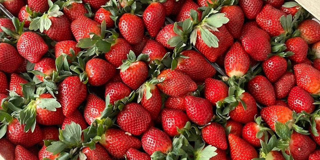 Почему клубника должна быть в Вашем рационе?🍓