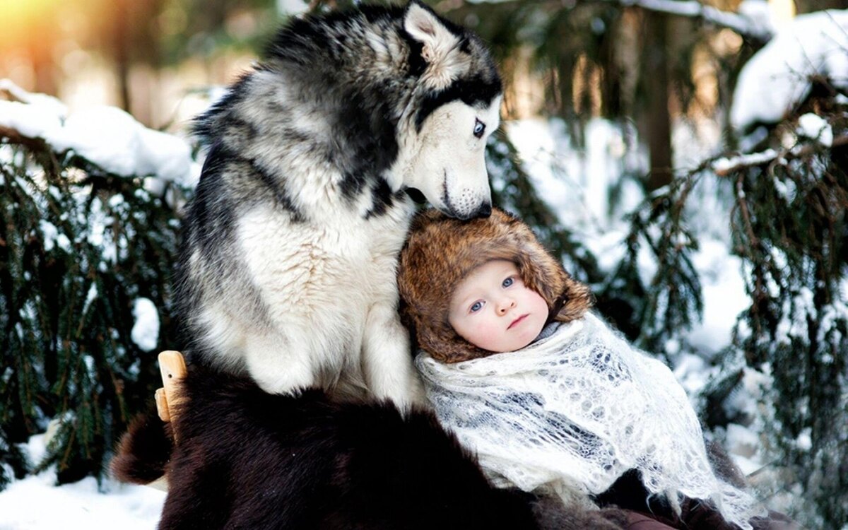 Фото из Яндекса 