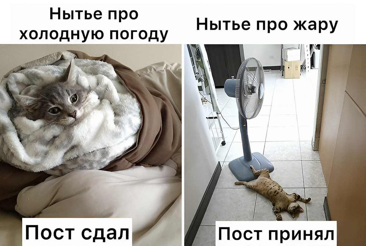 картинку с шуткой прислала читательница Светлана