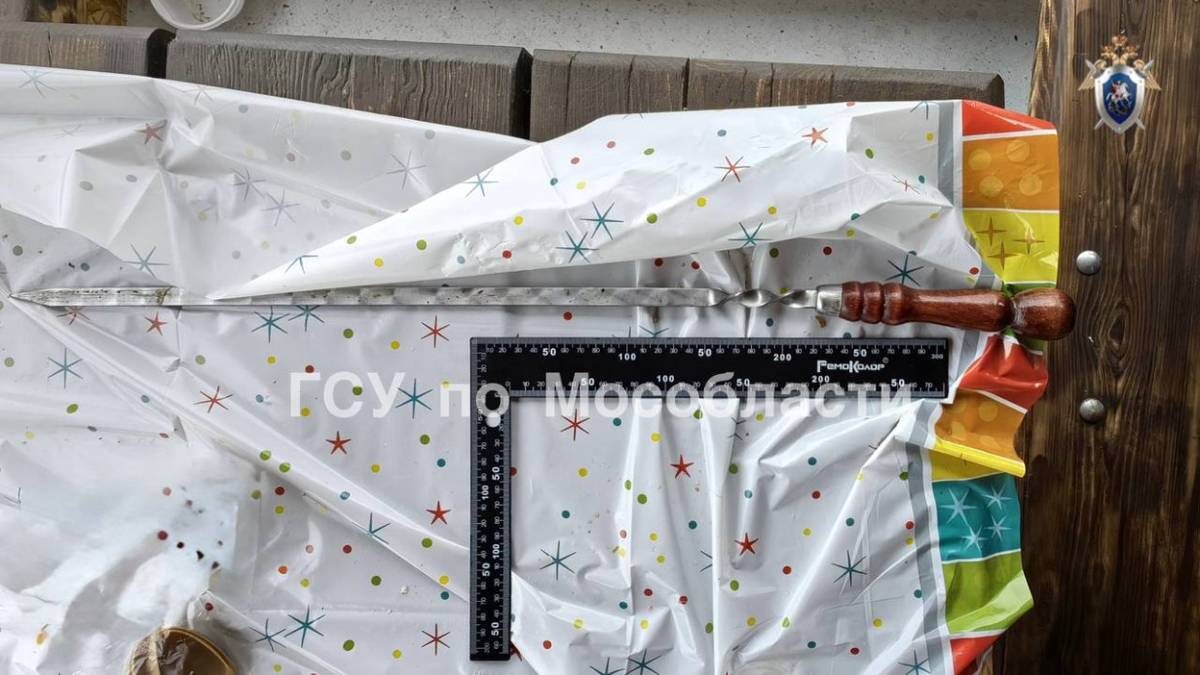    Фото: пресс-служба СК по Московской области