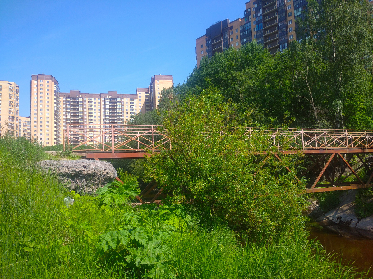 Мост через реку Охта