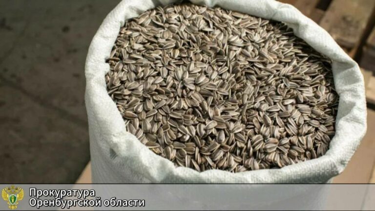    Семечки раздора. В Оренбурге оштрафовали двух «бизнесменов» за чужой товарный знак Андрей Севостьянов