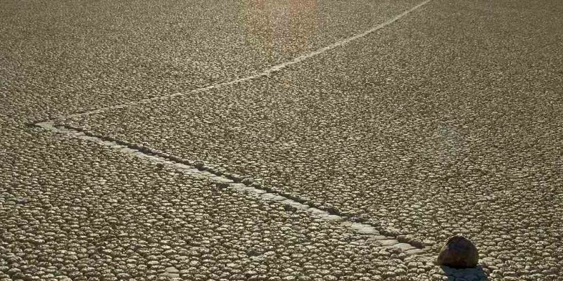 Упорно движется к назначенной цели. Изображение: Jon Sullivan / Wikimedia Commons
