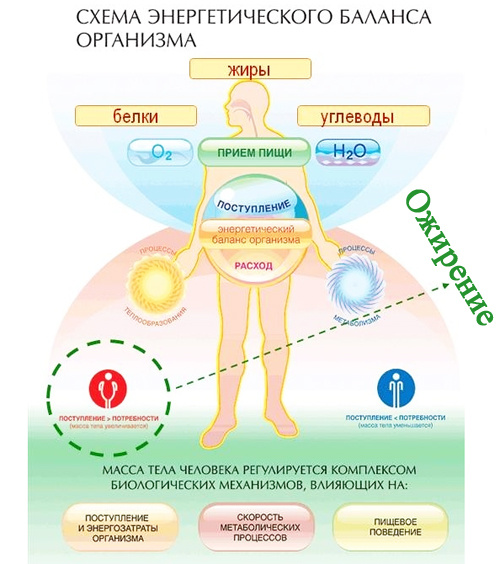 Картинку честно стибрила из интернетов, но очень уж наглядно