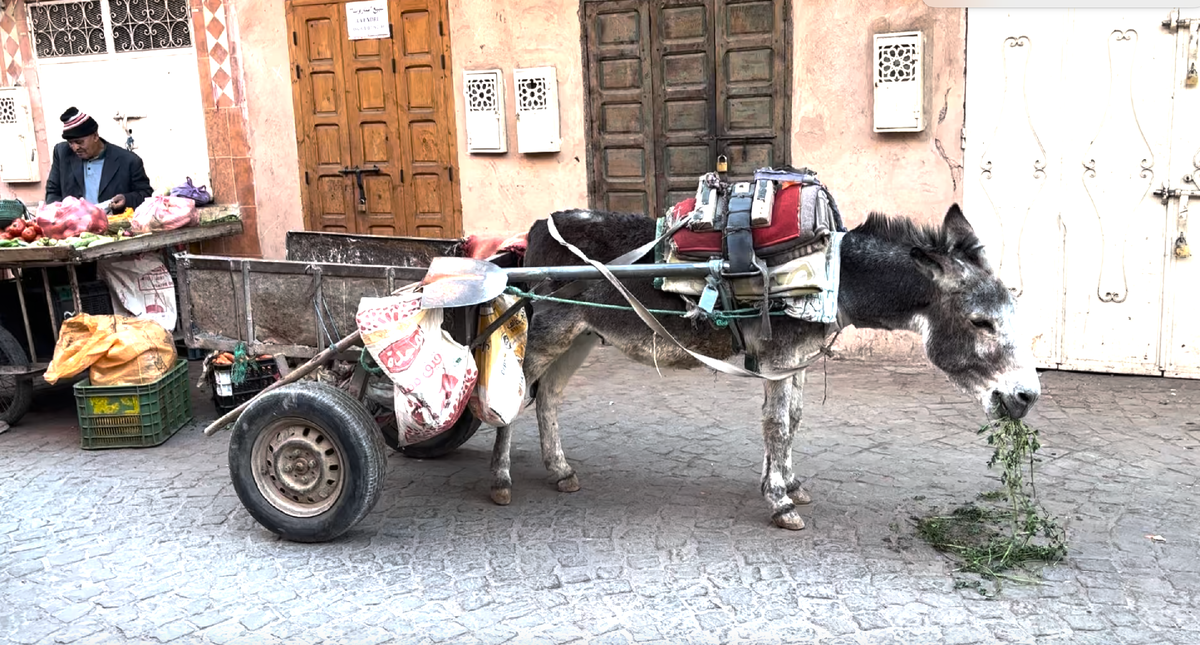 так выглядят все улицы