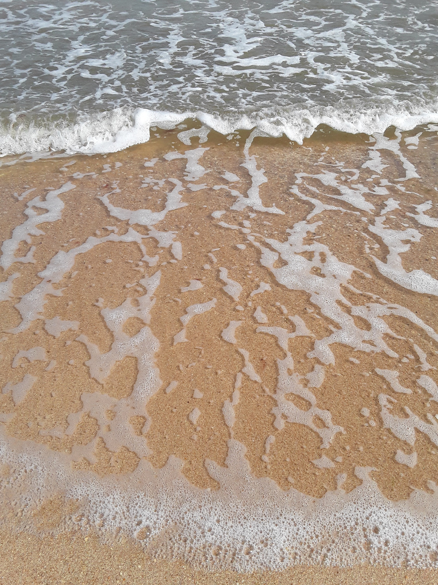 Фото мое.14.06.2024