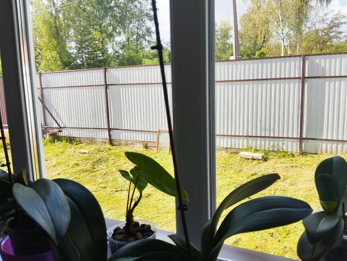 Вид из окна кухни-гостиной. Здесь и сейчас. Фото автора.