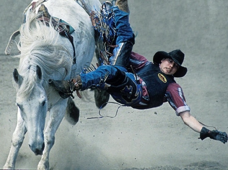 картинка из интернета