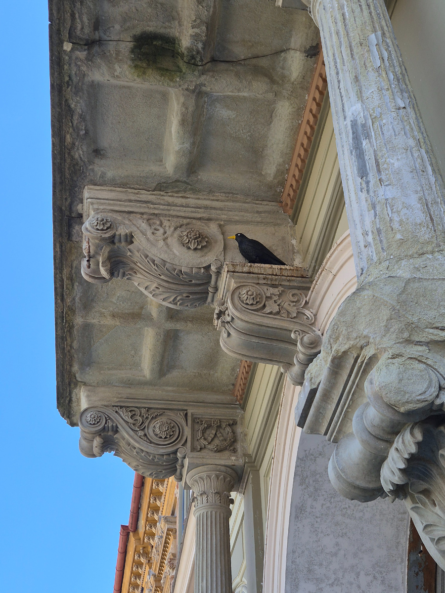 Козырек на здании, рядом с которым мы припарковали машину. Интересно эту птичку туда пристроили для красоты или с какими-то практическими целями?