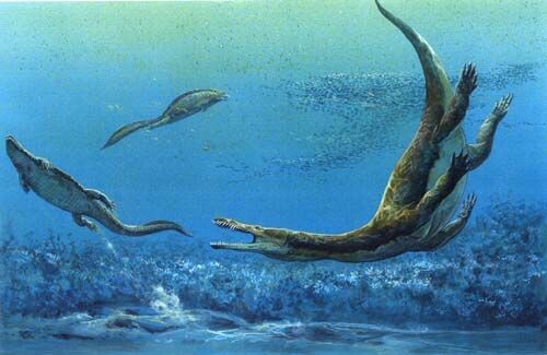 Нотозавр гоняет плакода.