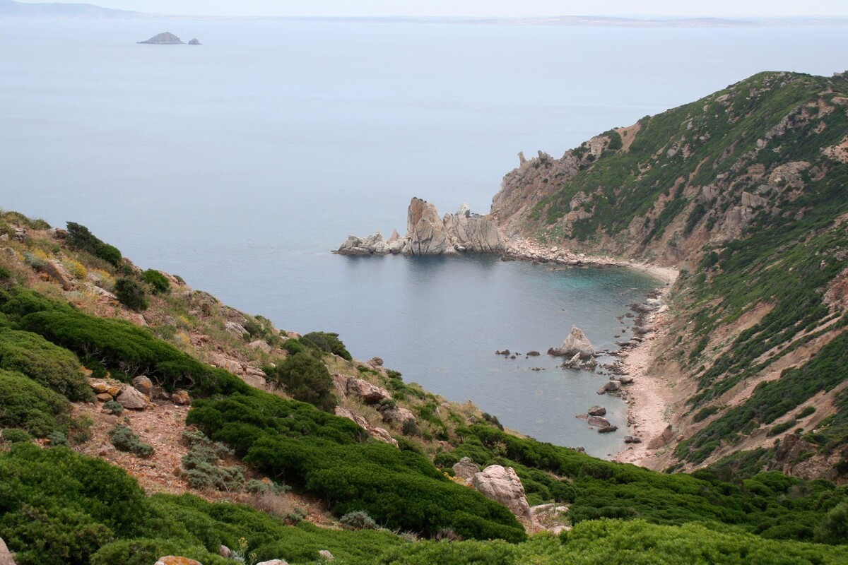 фото pimterest.ru, Ahmed Rami B. Fradj