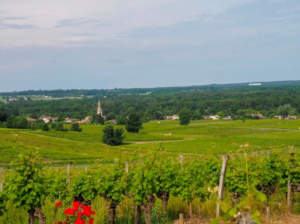 Фото взято здесь: https://lyl.su/mvn9