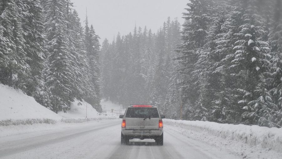яндекс картинки