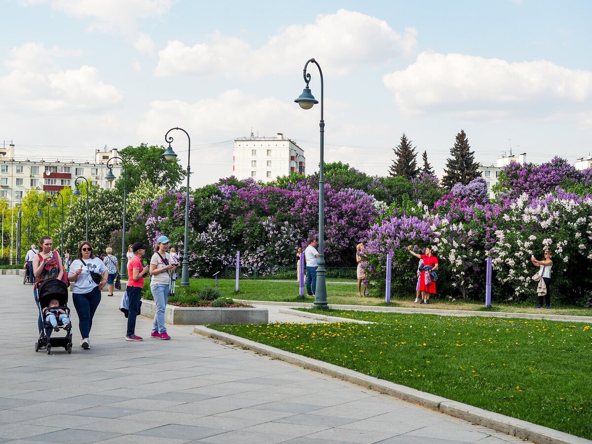 Фото из интернета, в свободном допуске