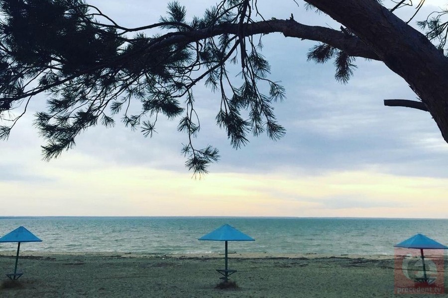    Фото: "Прецедент"