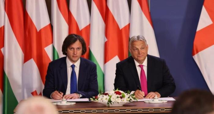 Фото: newsgeorgia.ge