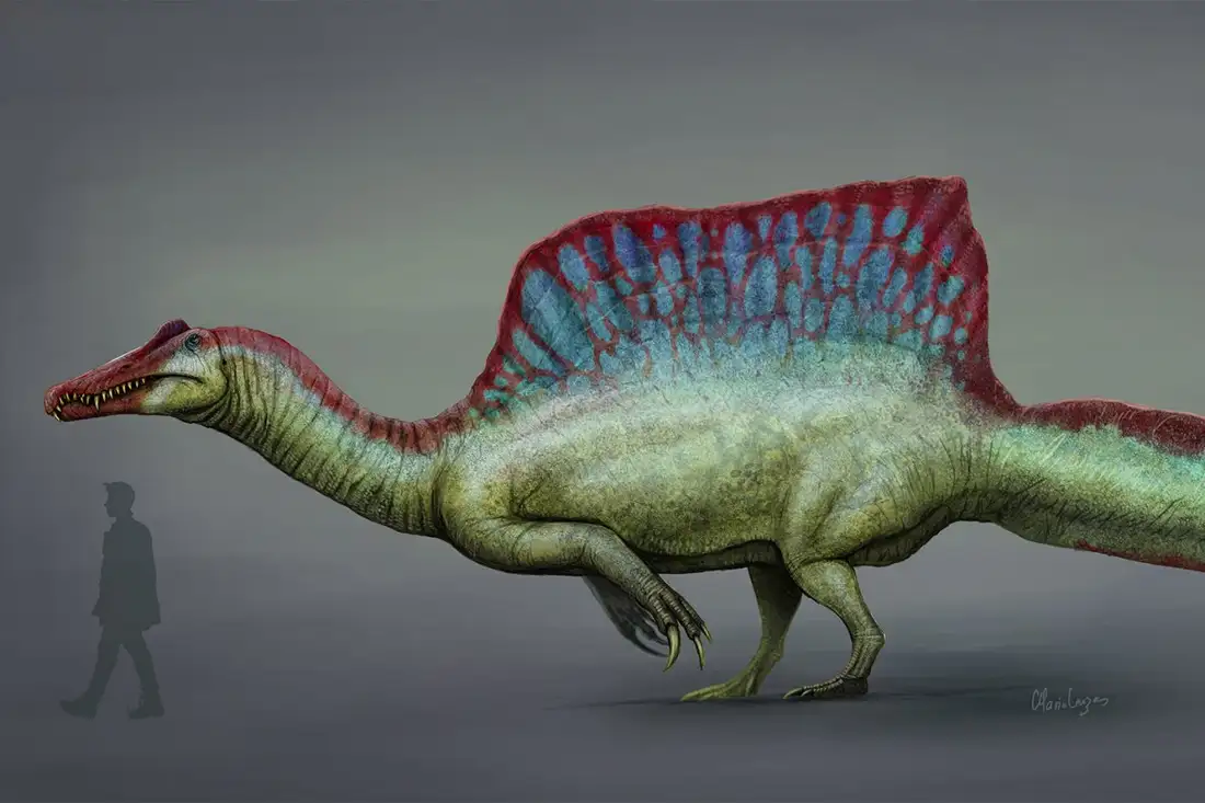 Спинозавр в представлении художника / Mariolanzas, WikiMedia