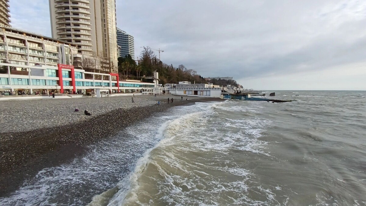     Автор: KubanPress