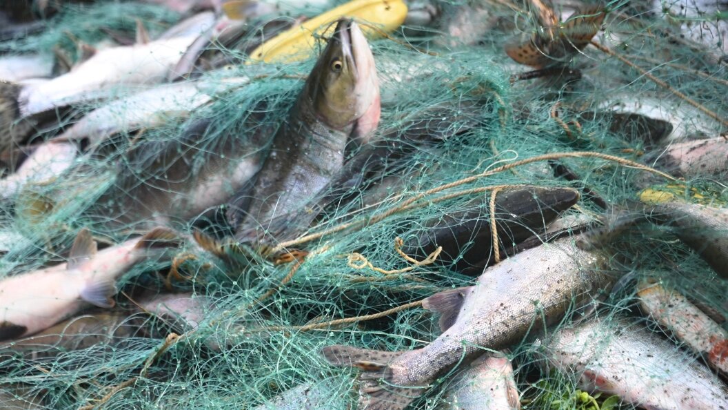    Komsomolskaya Pravda/Global Look Press