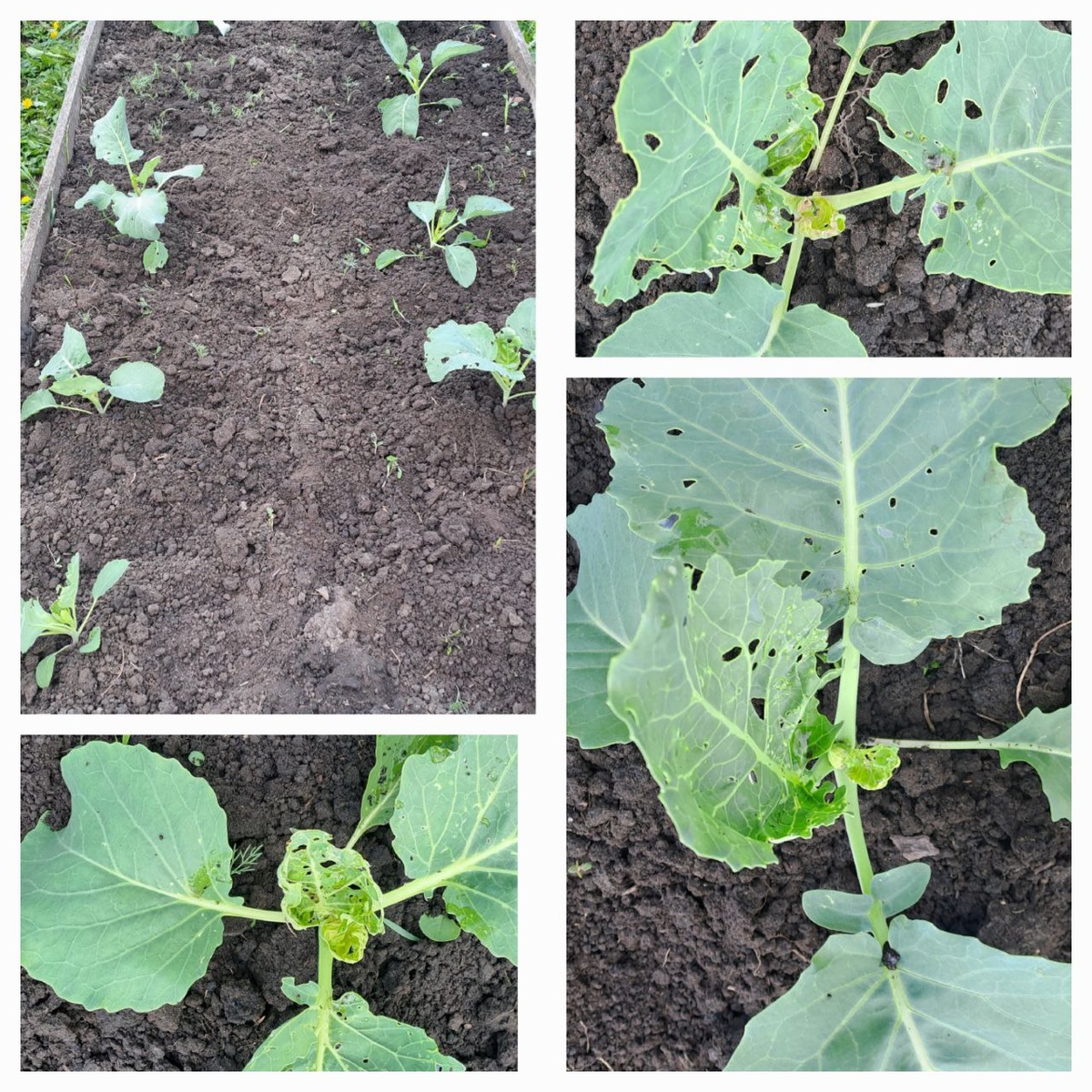 Фото подписчицы